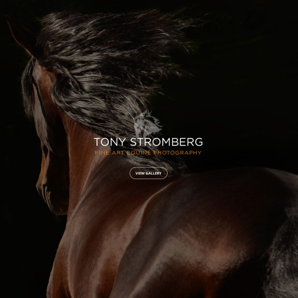 Tony Stromberg Photography
